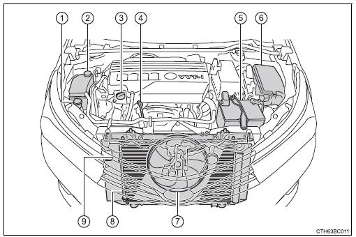 Toyota Corolla. Motorraum