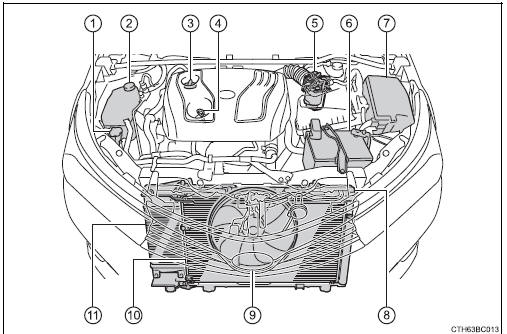 Toyota Corolla. Motorraum