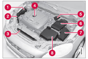 Volvo V40. Motorraum