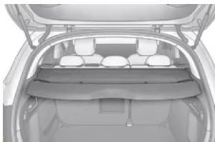 Citroën C4. Hintere Ablage